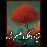 دانلود رمان ستیا و دهکده طلسم شده pdf |اثر هستی